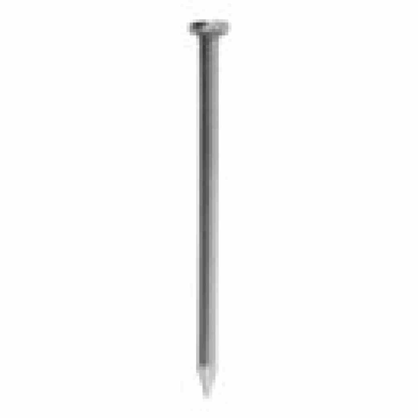 8D Bright Common Nail 2-1/2" 50lb Box Image 2