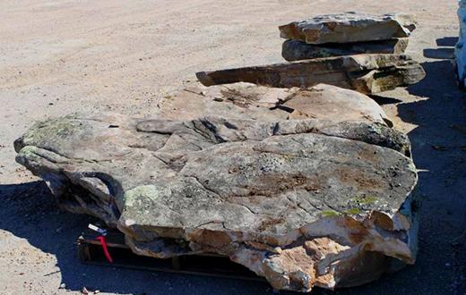 Tennessee Fieldstone Steppers 3