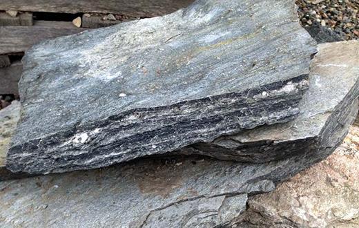 Tennessee Fieldstone Steppers 8
